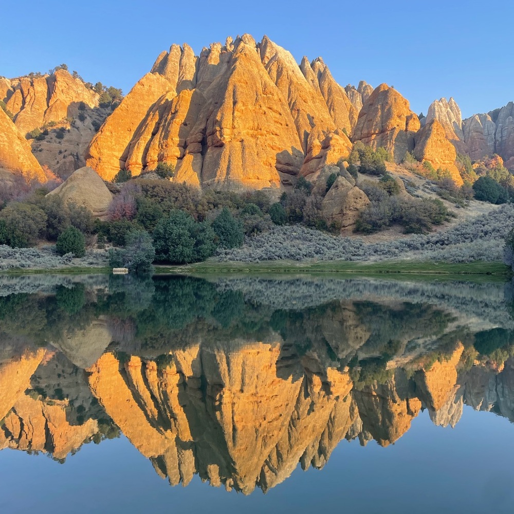 Meet your Posher, Posh